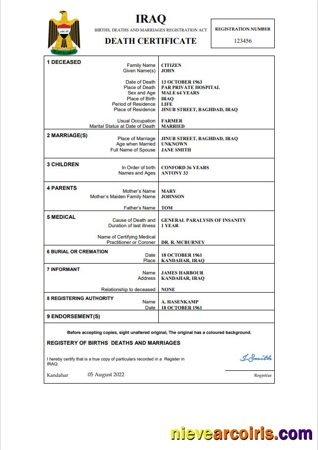 Iraq vital record death certificate